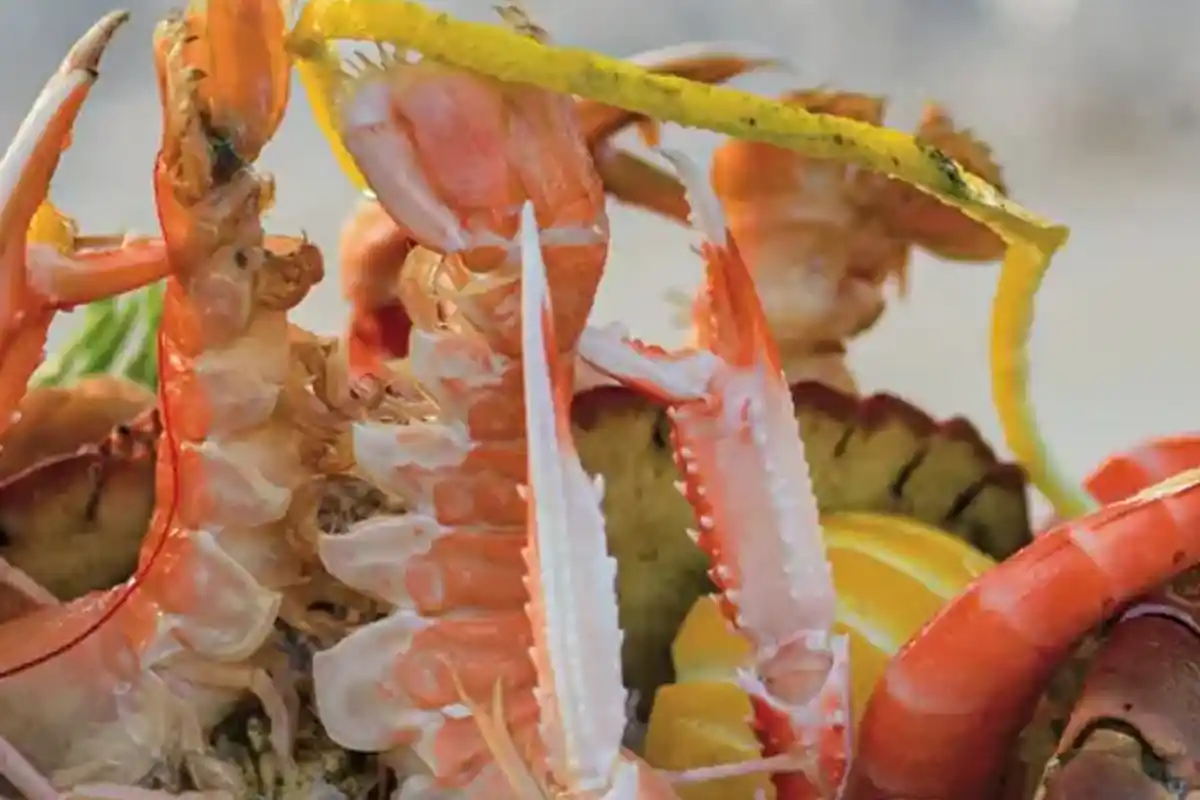 Langoustines fraîches présentées sur un lit de glace